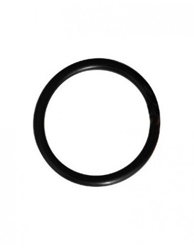 O-RING P/ FILTRO REG. AGUA