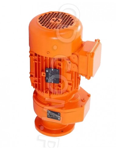 Motor principal para maquina de projetar, 5500W, peças de origem, Motores, Maquinas, Maquinas PFT para Portugal