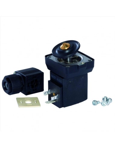 Bobine Magnetica Para Eletrovalvula, 42 V, Maquinas PFT, G5 PFT, Portugal, peças de origem para maquinas, importadas