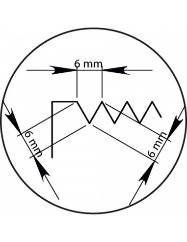 LIÇOSA DE DENTES ISOSCELES